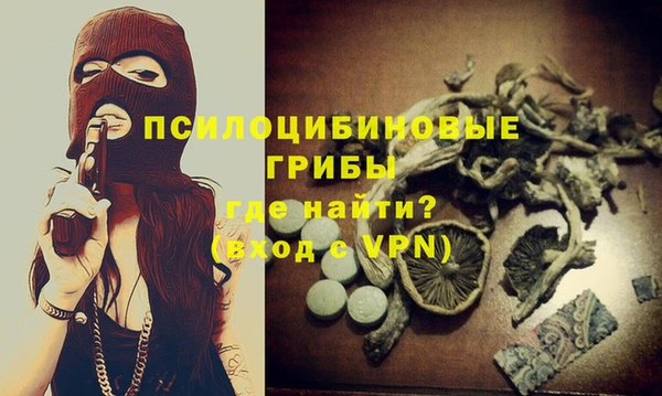 твердый Балахна
