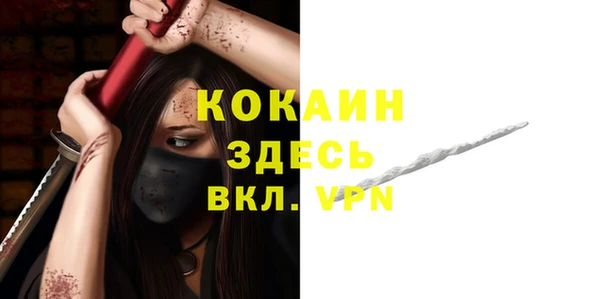 твердый Балахна