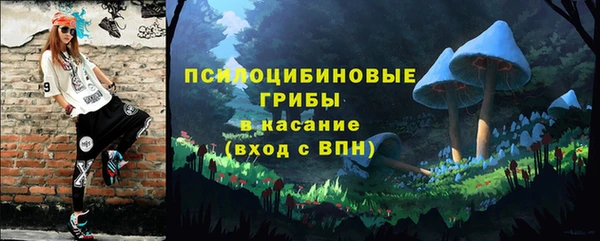 ГАЛЛЮЦИНОГЕННЫЕ ГРИБЫ Балабаново