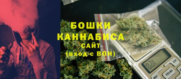 ГАЛЛЮЦИНОГЕННЫЕ ГРИБЫ Балабаново