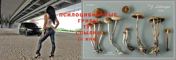 ГАЛЛЮЦИНОГЕННЫЕ ГРИБЫ Балабаново